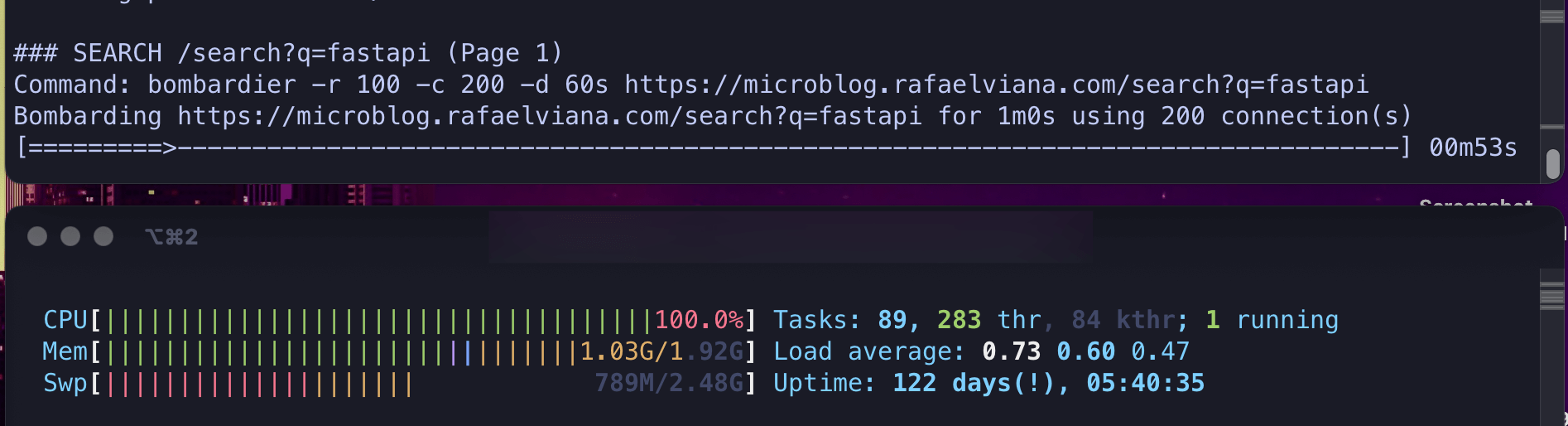 Page 1 / 200 connections, /search?q=fastapi, CPU pinned 100%